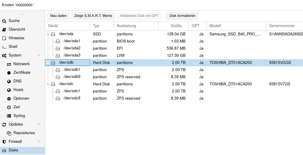 Bild 5: Disk Tabellenübersicht des Proxmox Servers